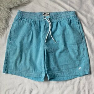 Trunks Surf & Swim Co swim Trunks Check Sz 34